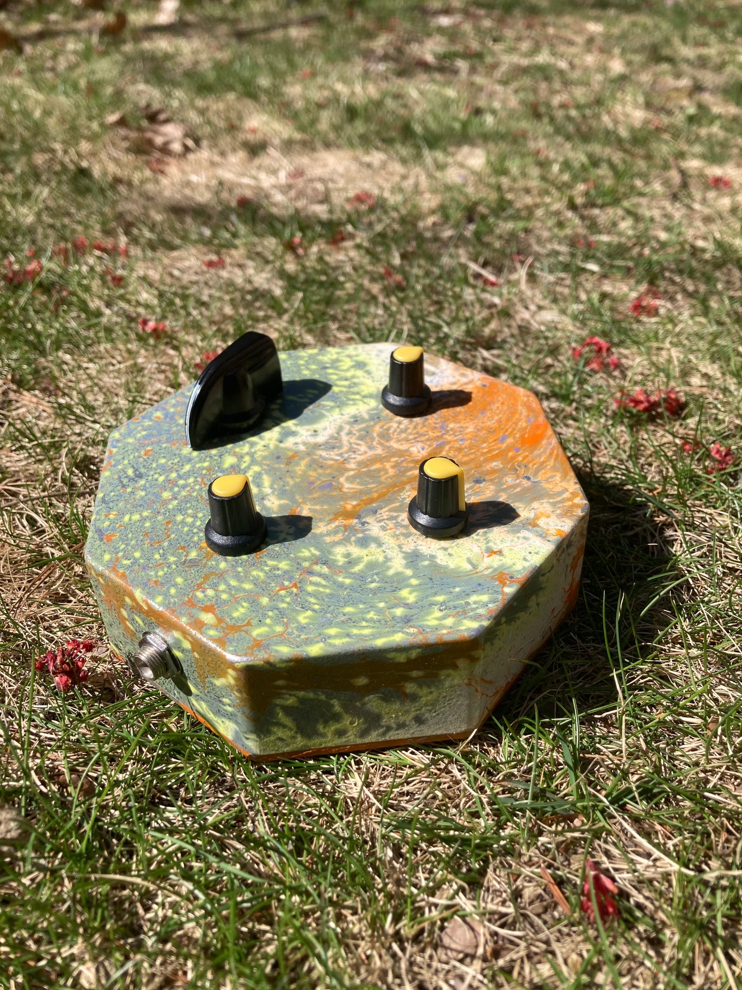 CMOS Cicada A/V